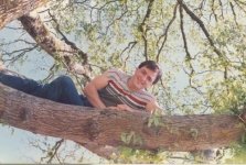 John up a tree